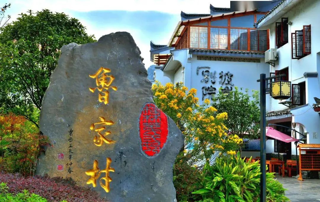 鲁家村案例 ┃乡村振兴下田园综合模式的代表