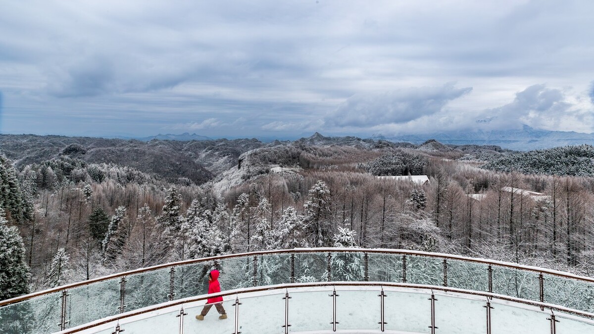 初雪过后,重庆南川山王坪宛若童话