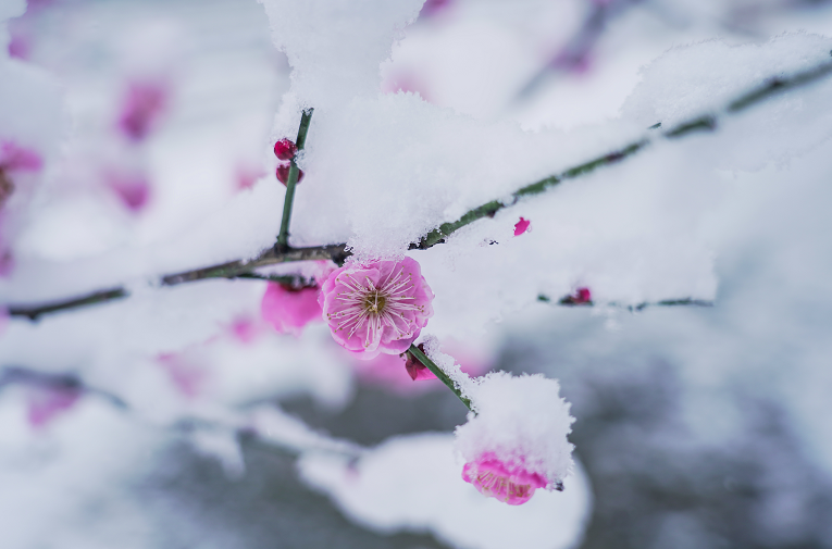 男人忘不掉初恋的原因,其实只有一个