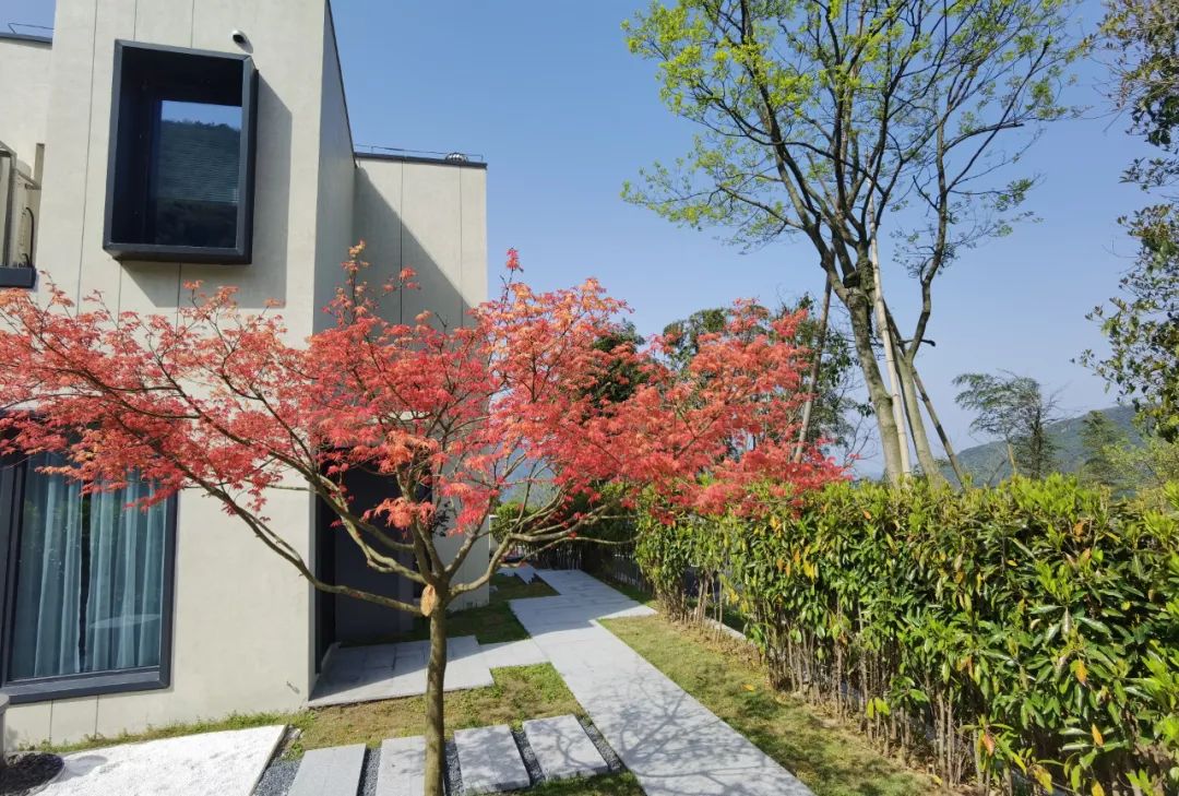 「首页」安吉@「离城青山引」售楼处电话丨地址丨最新房源详情!