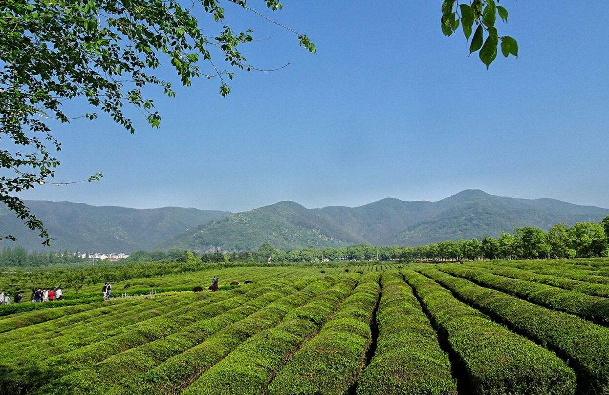 宜兴铜官山爬山路线图图片