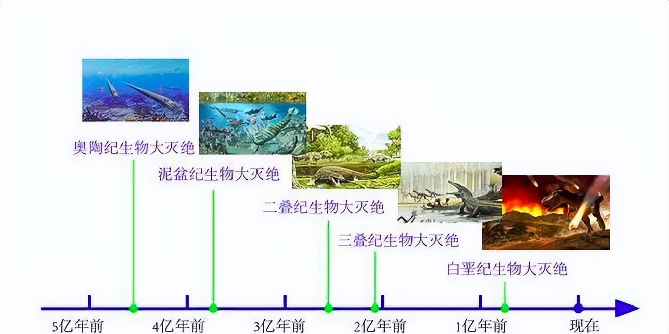 第六次生物大灭绝图片