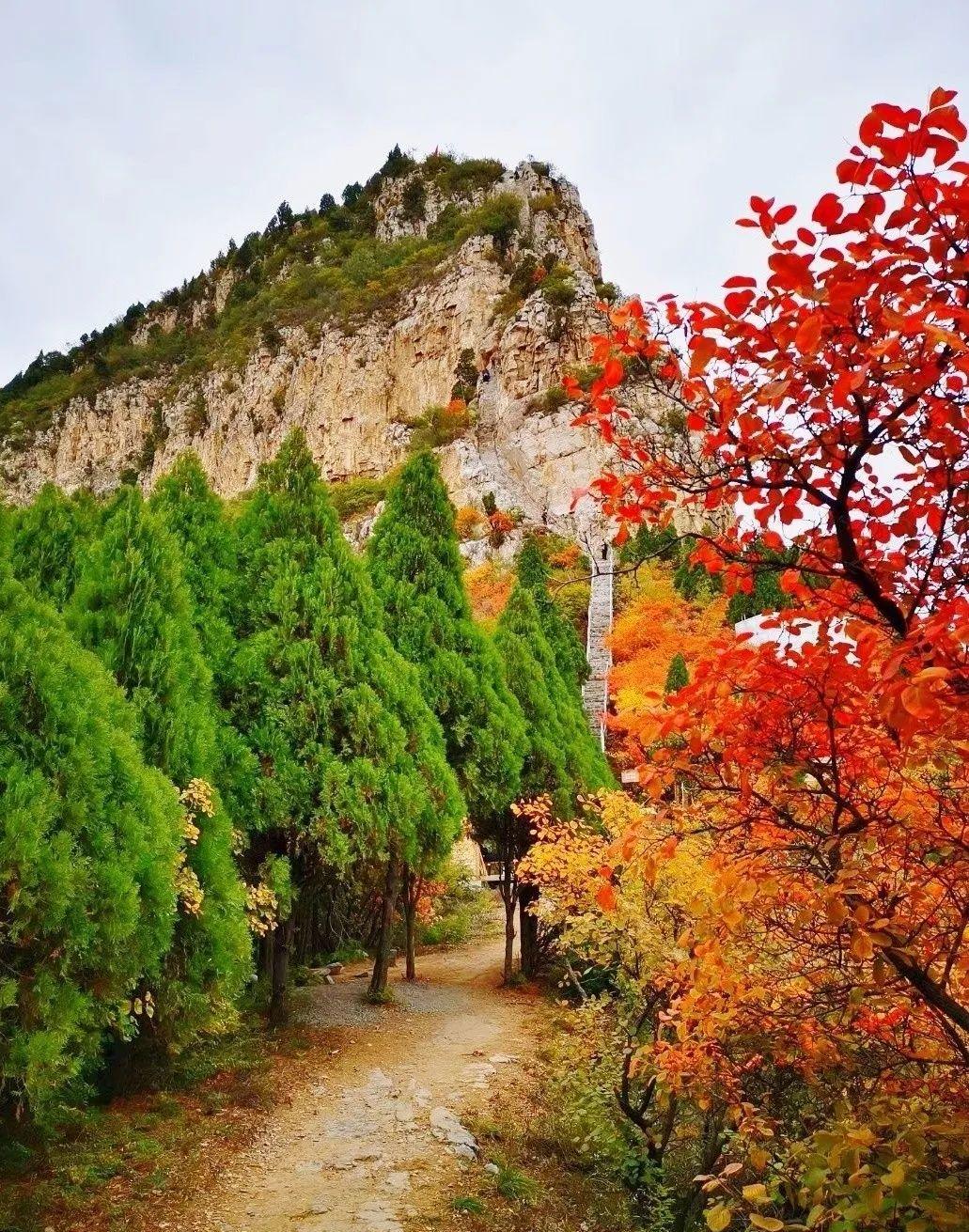 仙台山风景区图片图片