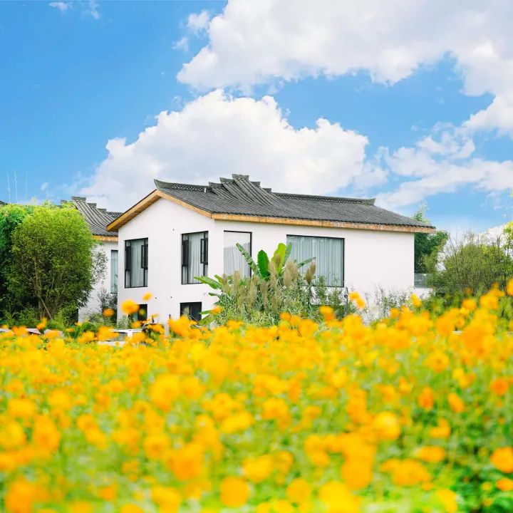 成都安仁南岸美村获评"年度最具潜力度假目的地"