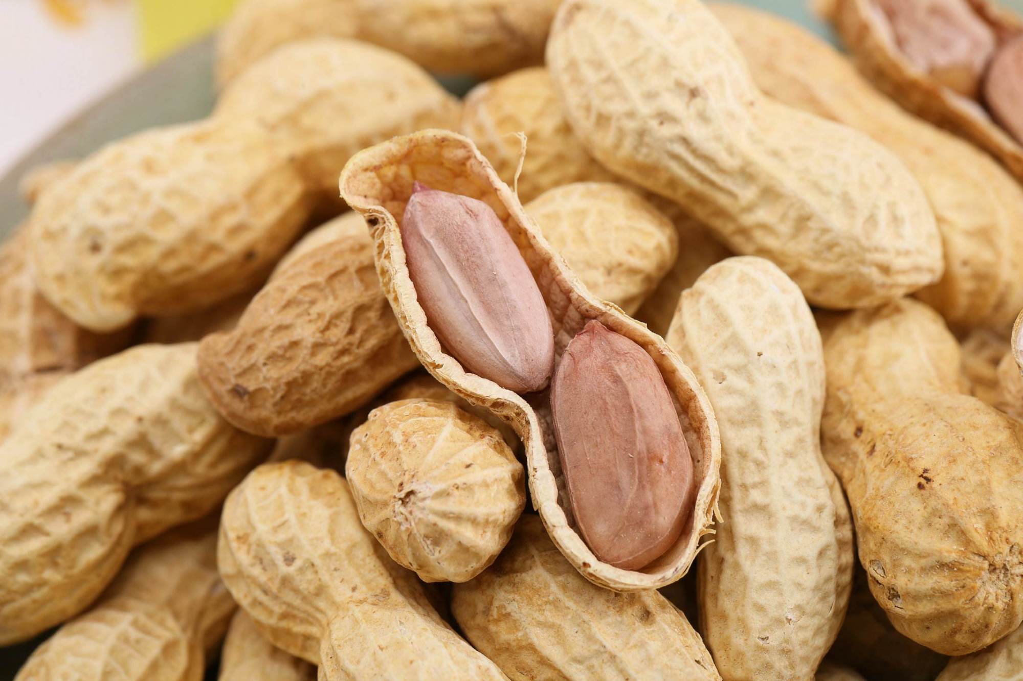 别再着急丢了,花生浑身都是宝,花生叶,花生壳,都有药用价值