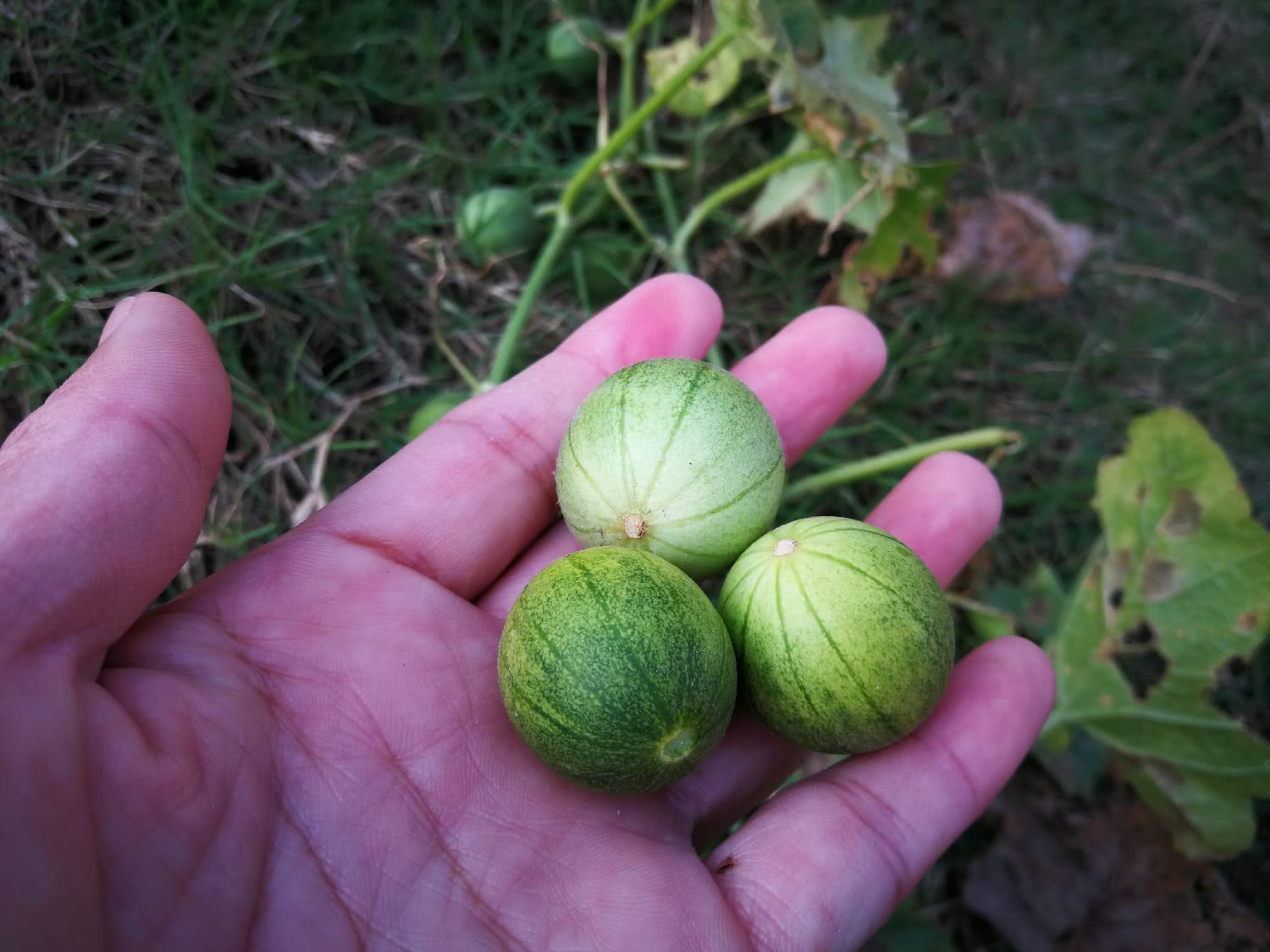 女性养生,推荐常吃3种食物,排毒养颜,提高自身免疫力