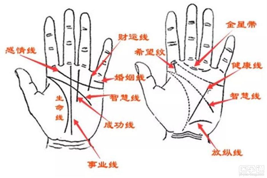 男人手相右手图片