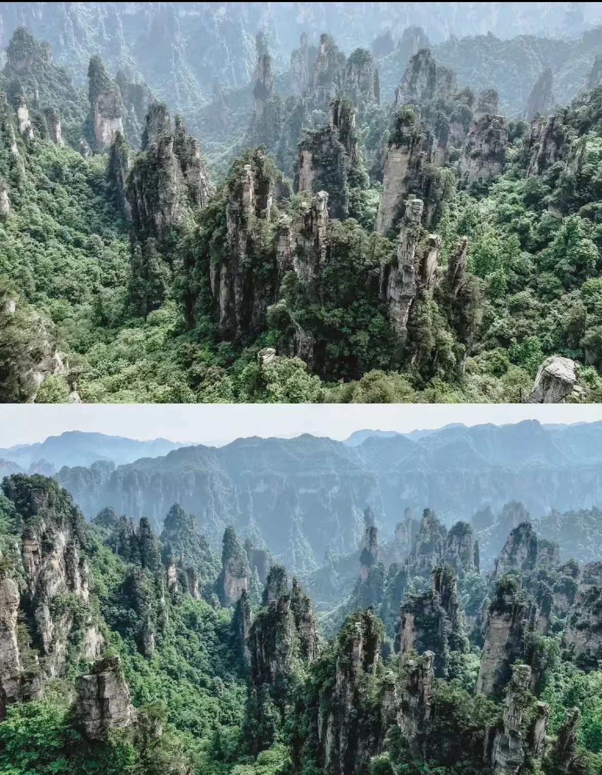 天子山-西海峰林