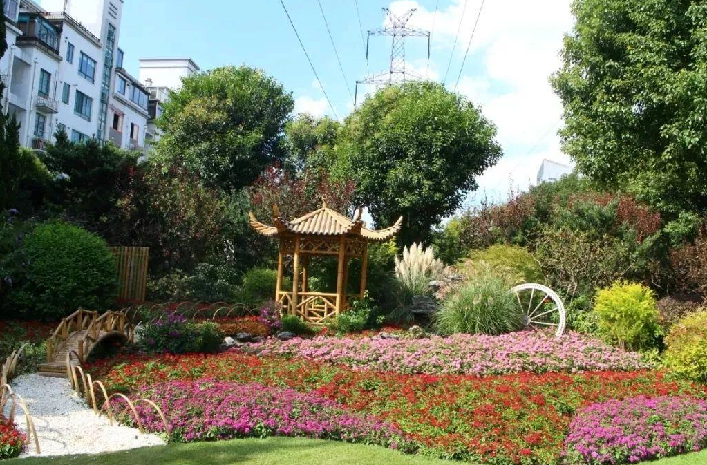 上海一处绝美公园,风景秀丽免费开放,是当地人的"后花园"