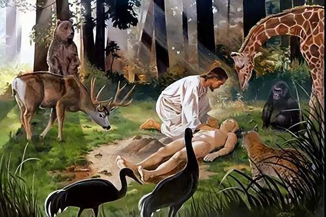 关于《圣经》中上帝造人的猜想