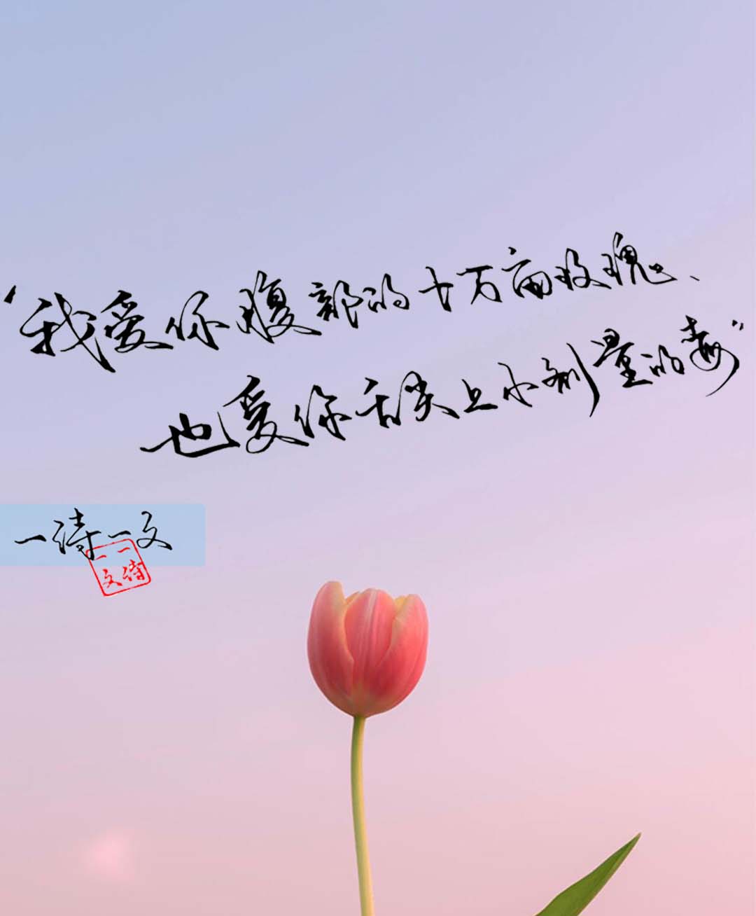 这月色别有所图,而我爱得清楚