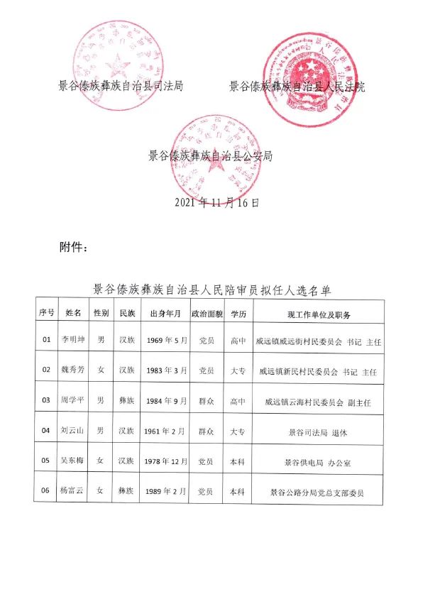 景谷傣族彝族自治县2021年度人民陪审员拟任人选公示