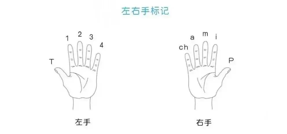 吉他的右手两种基本的拨弦形式