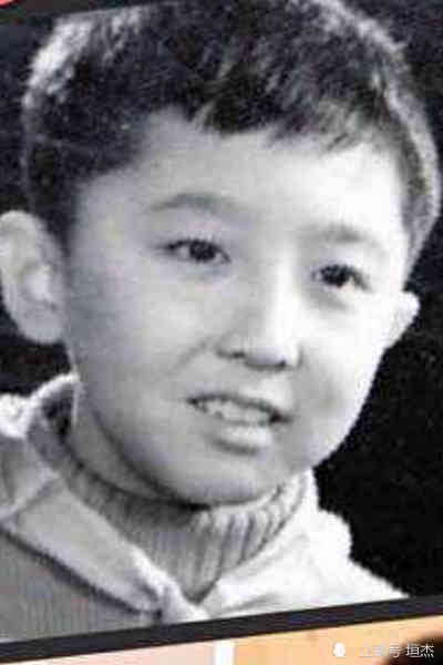 看了如今德云社的乱象,终于明白,于谦才是真正的聪明人