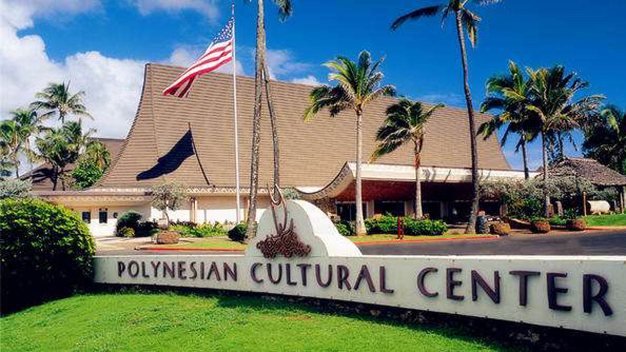 教师的工作:推动课堂内和课堂以外的学科对话并促进学习