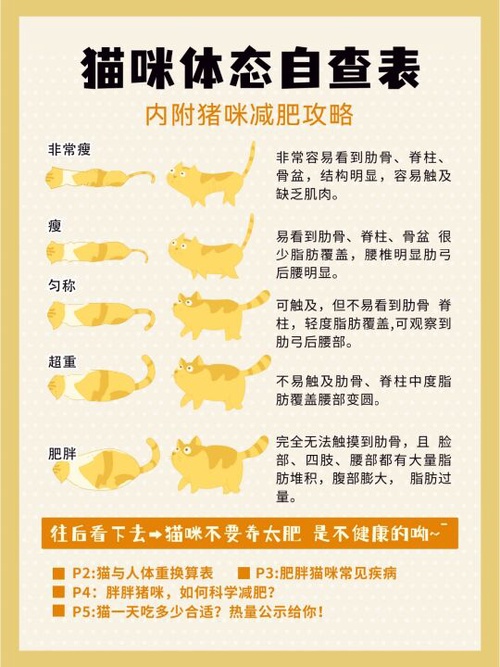 新生小猫体重周期表图片