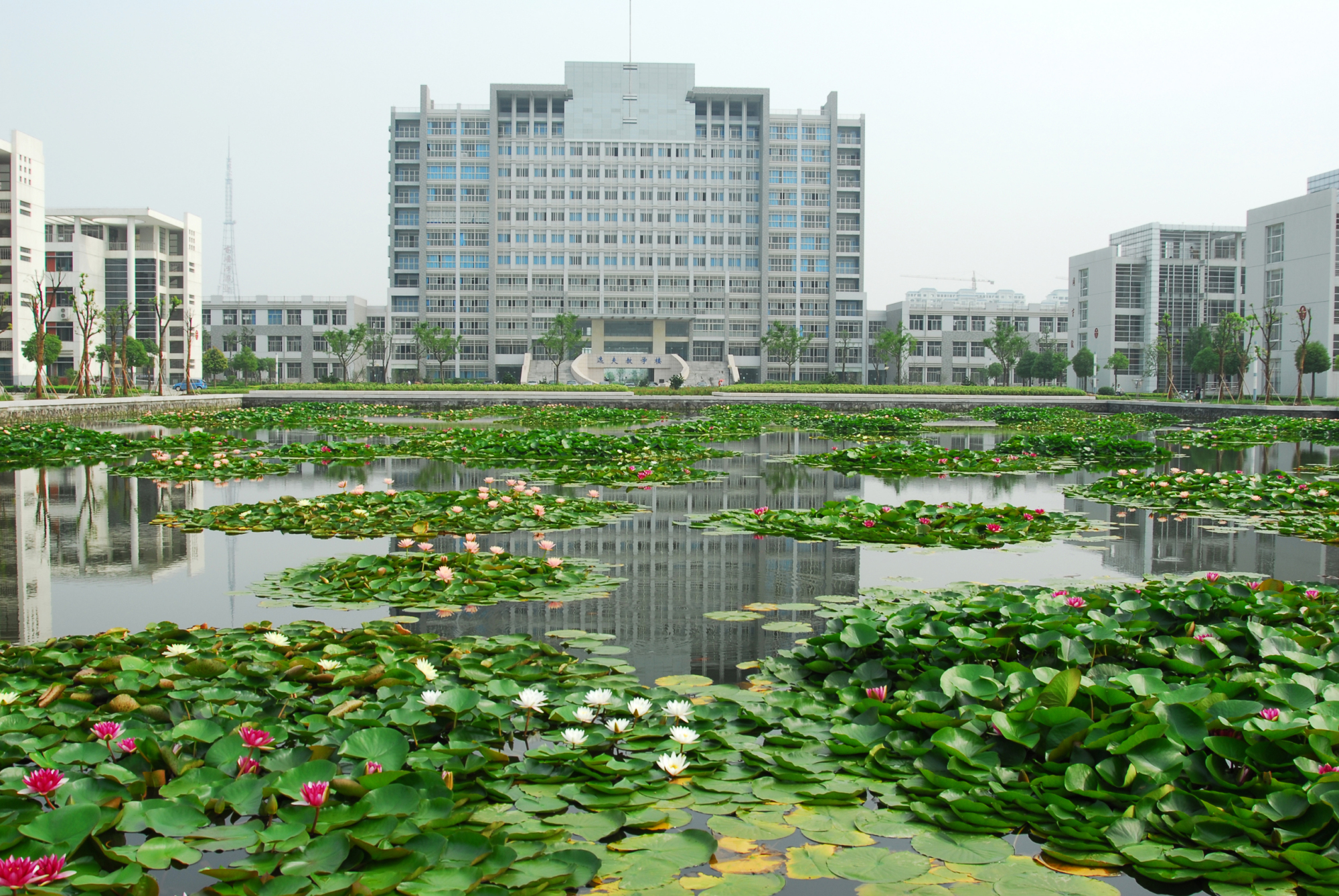 淮阴工学院洪泽校区图片