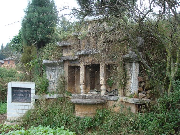 2014年贵州遵义出土一副黄金打造的棺椁,墓主竟是杨价夫妇