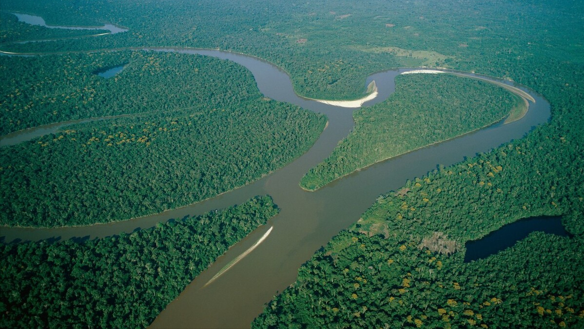 和长江相比,亚马逊河有多可怕?为什么至今没有一座桥敢跨越它?