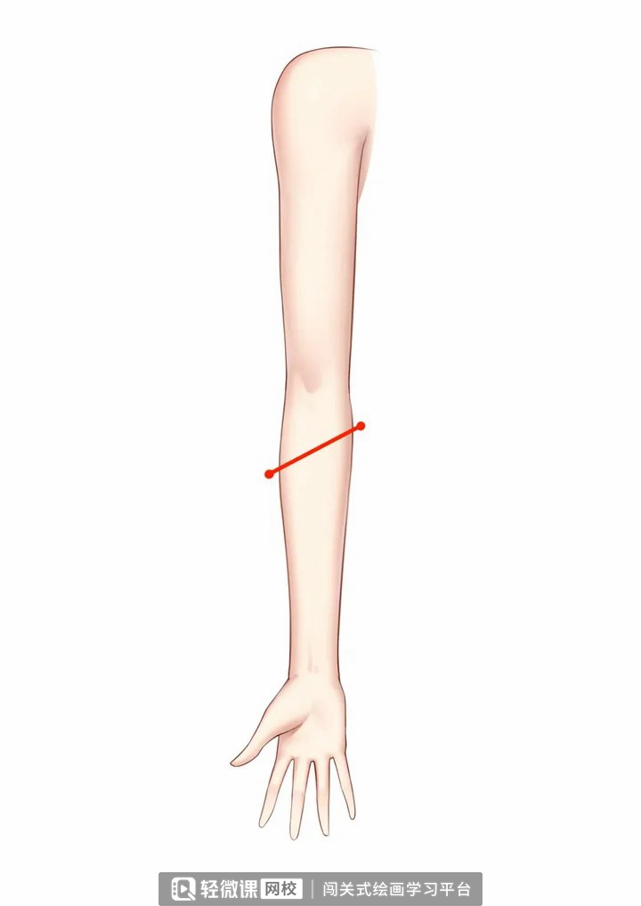 怎么画动漫人物手臂?动漫人物手臂画法步骤!