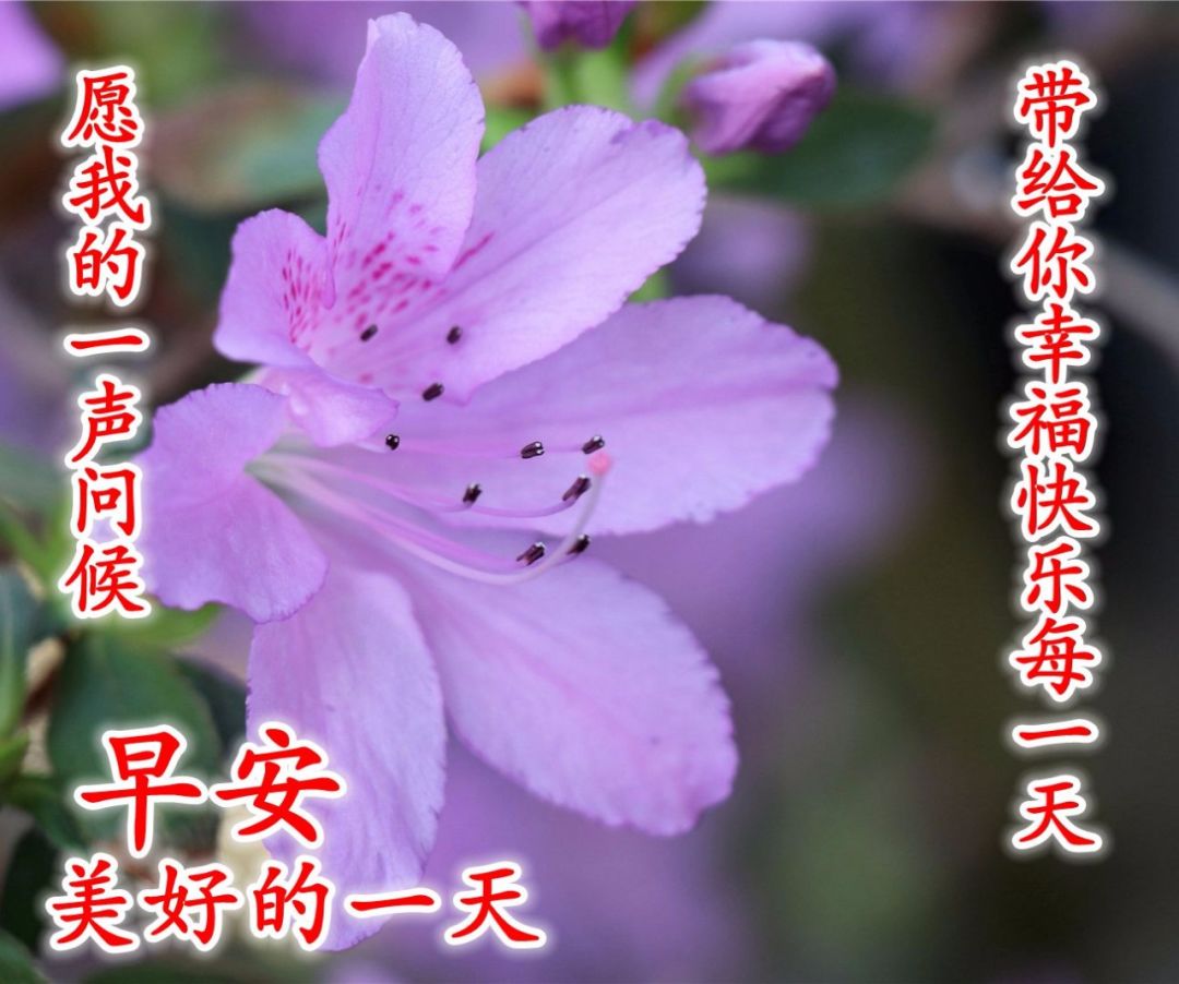 秋天最新早上好特漂亮的祝福图片带字,温馨道声早安