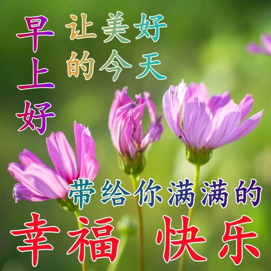 早上好問候語動態圖片表情大全 3月早上好祝福語圖片帶字