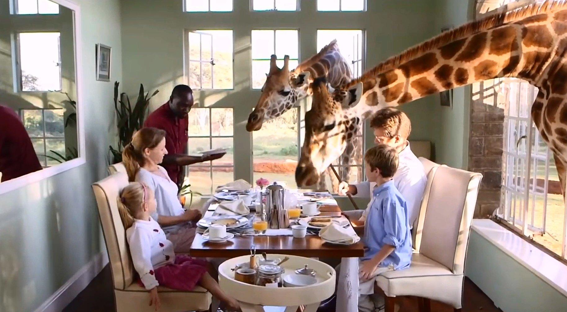 最特别的长颈鹿主题餐厅,吸引来无数顾客打卡,简直是生意鬼才!