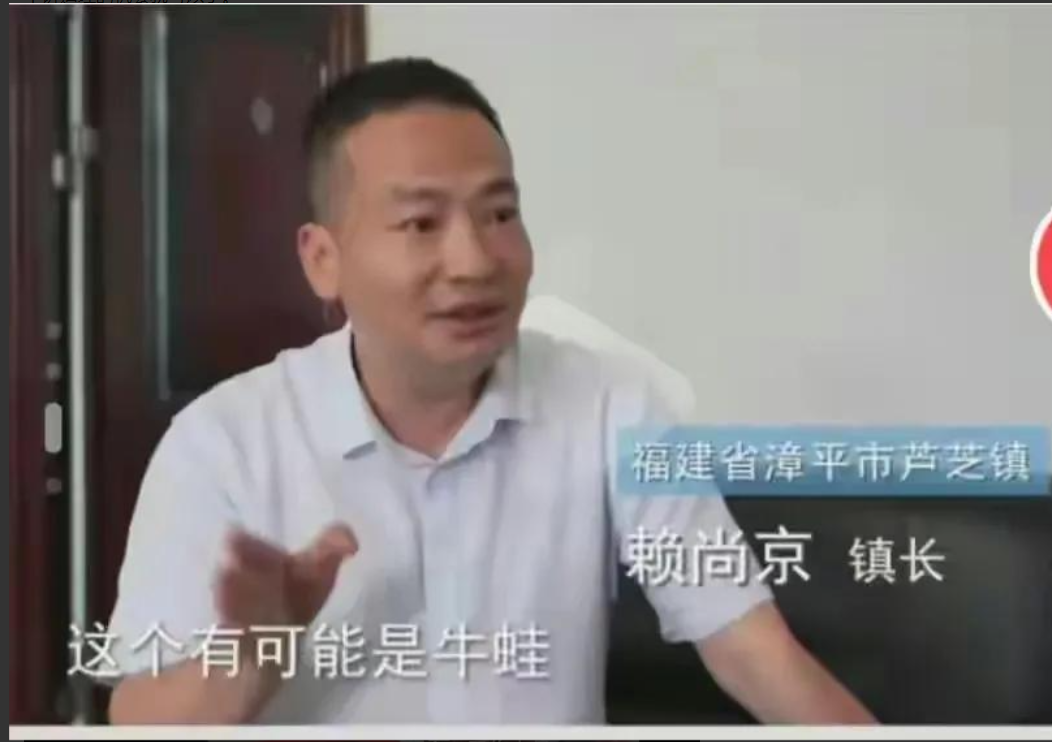 指虎為牛的背後:小官不小,蒼蠅比老虎性質更惡劣