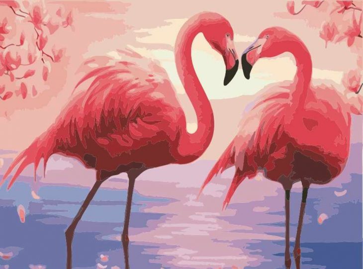 用铅笔素描火烈鸟(31张)