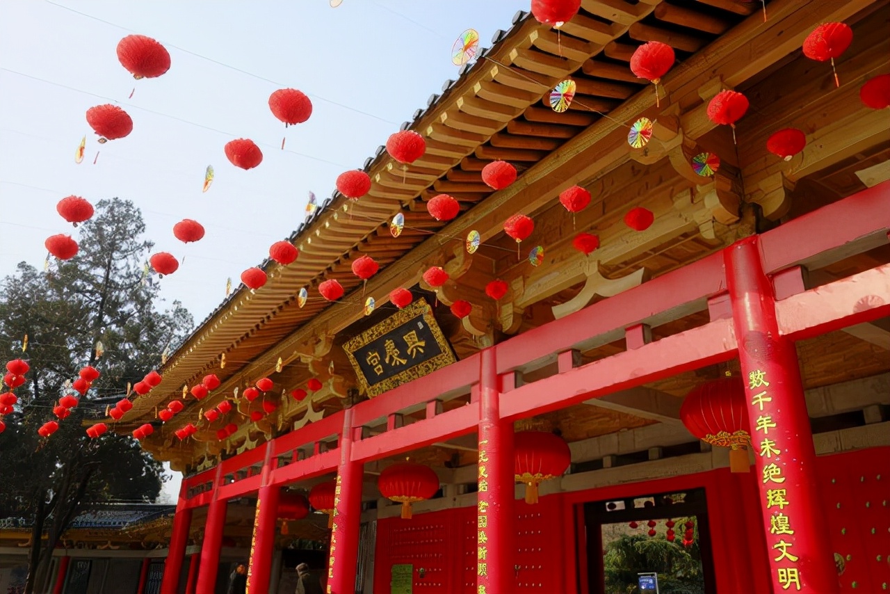 初春的兴庆公园改造后你还没去过吧