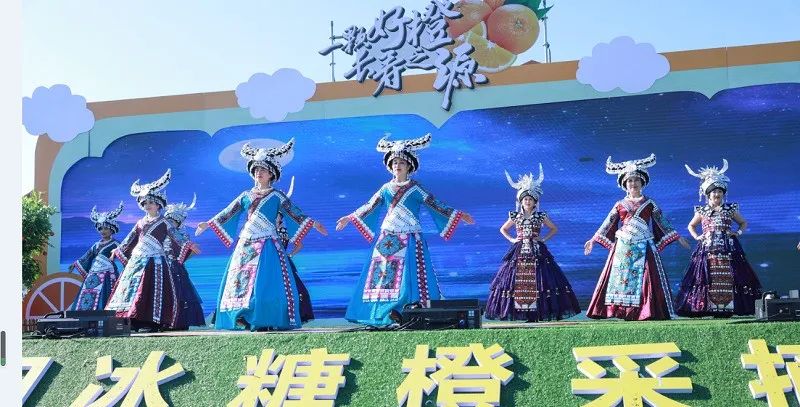 湖南怀化:网红唐艺加盟,麻阳冰糖橙采摘季在麻阳高铁西站启动