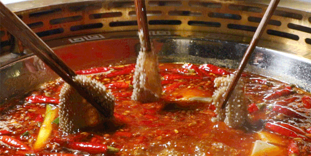 ta来了!他带着好吃的鲜货火锅来了!