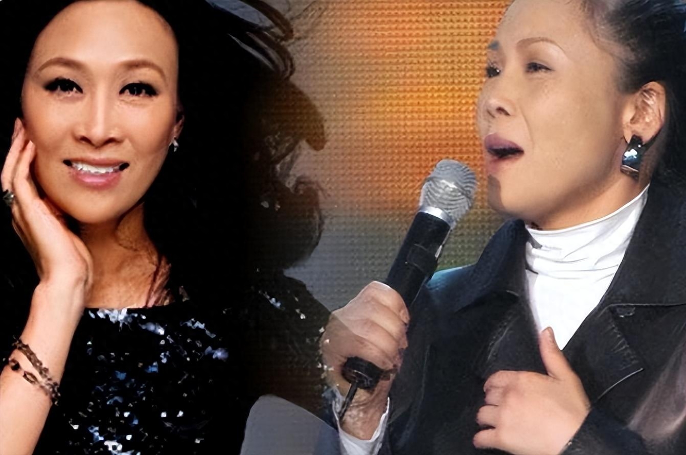 也应了谷建芬对那英的那句经典语句"长了个好嗓子配了个狗脑子",真是