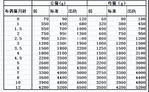 布偶猫标准体重表图片