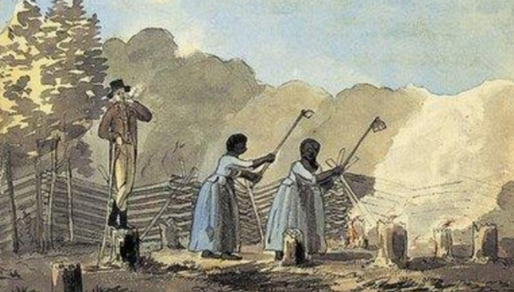 走进黑奴的棉花种植园工作,食不果腹,毫无人性的奴役日常