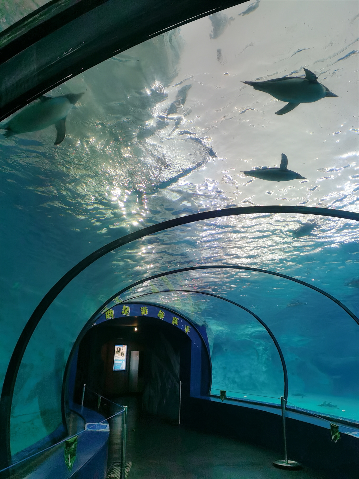 一禾科技|飞跃巅峰,你我同心珠海游