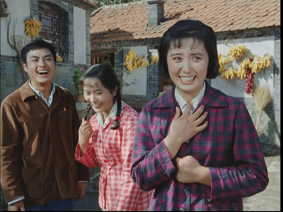 《喜盈门》如何成为中国电影史上最成功的农村片?
