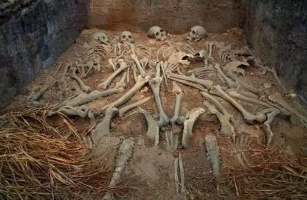 陪葬人数186人,耗时10年才挖到主棺,墓主人疑似秦始皇18代祖宗