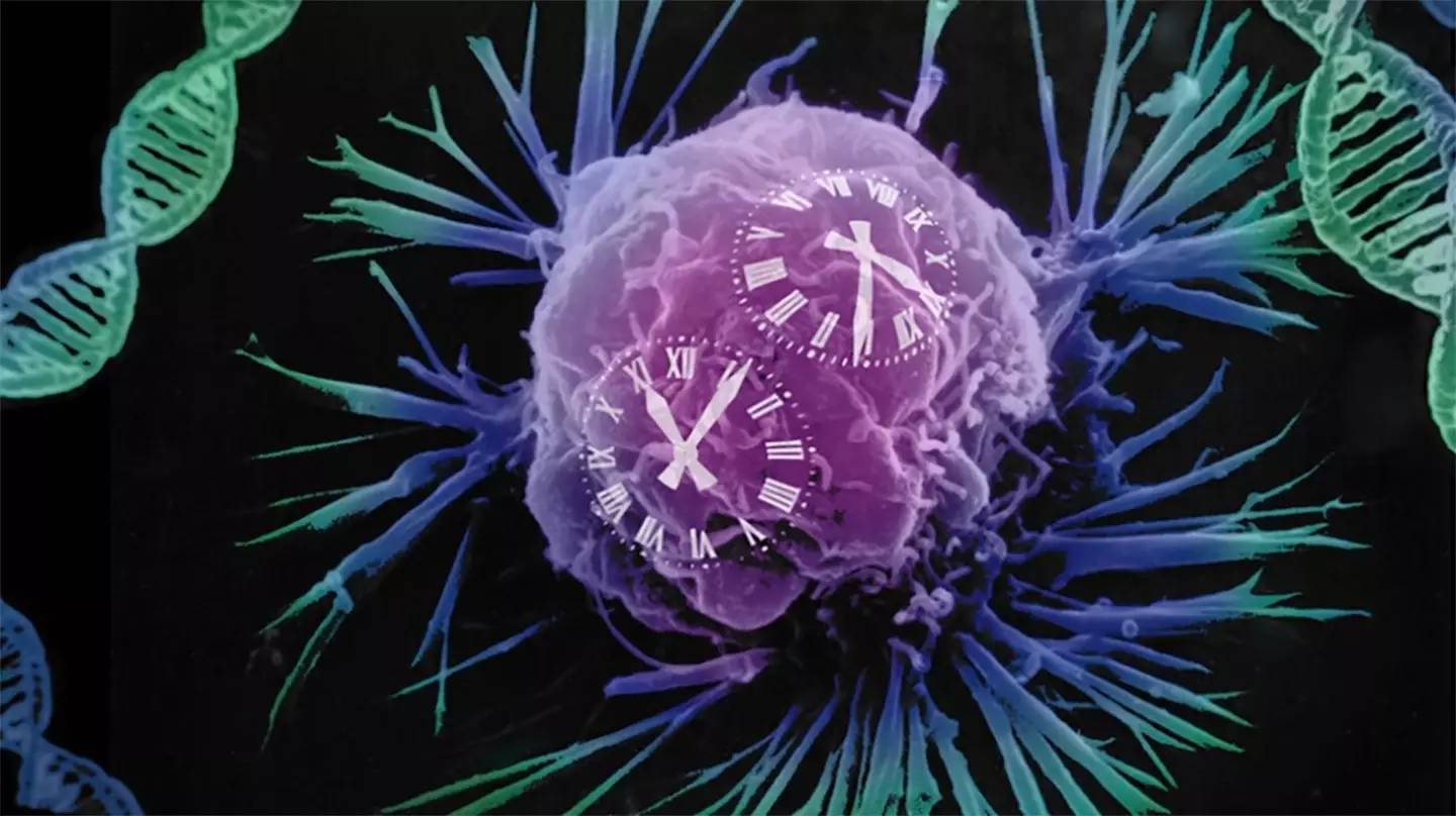 少量饮酒,对健康到底好不好?50万人的研究数据,给出明确答案