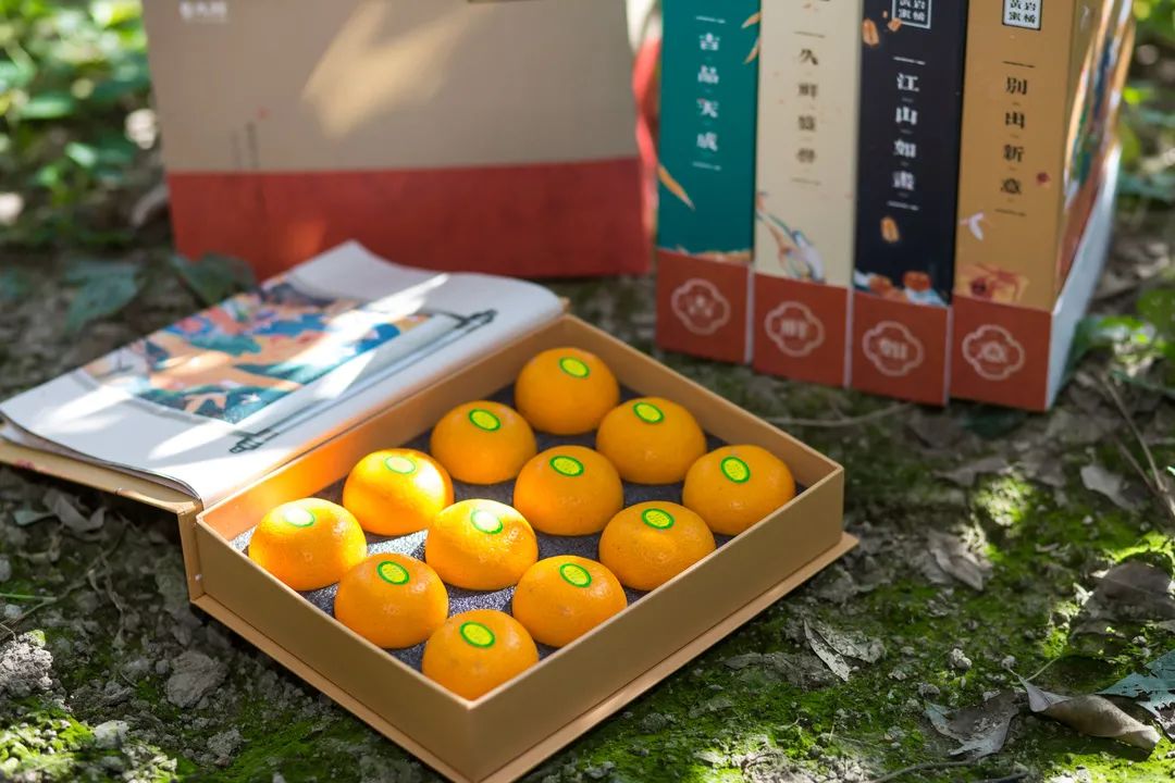 黄岩农产品批发行业的现状与未来趋势
