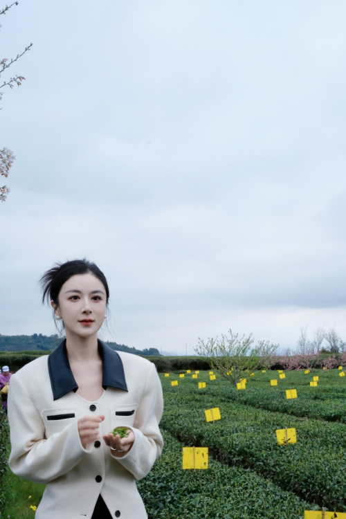 以薇娅为代表的直播电商 将为民营经济赋予更多可能