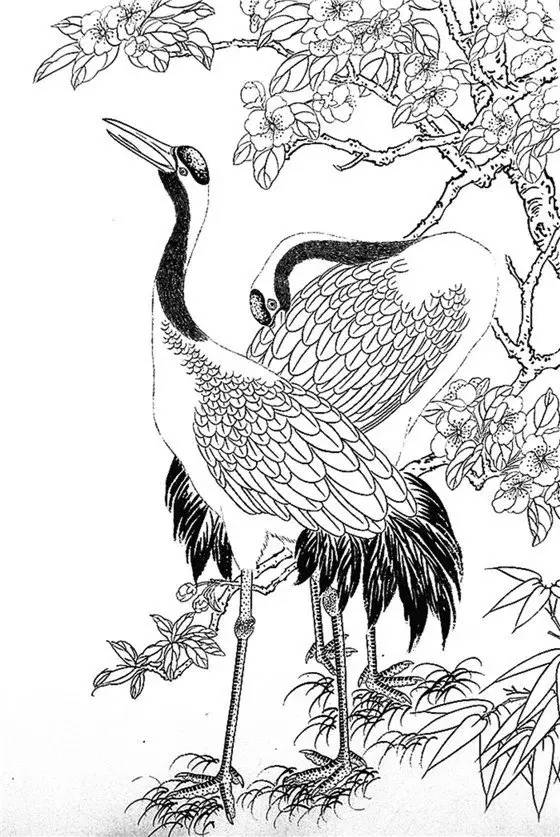 一组白描仙鹤,惟妙惟肖︱艺术名画