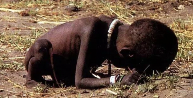 著名照片,小女孩快饿死,旁边秃鹫等着吃人,记者拍完照后自杀