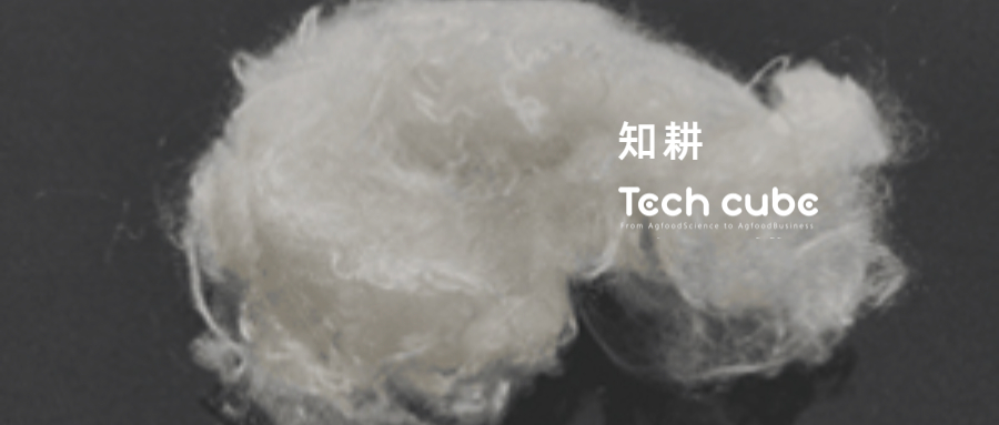 知耕tech|nanollose打造纳米细菌纤维素高效能系统