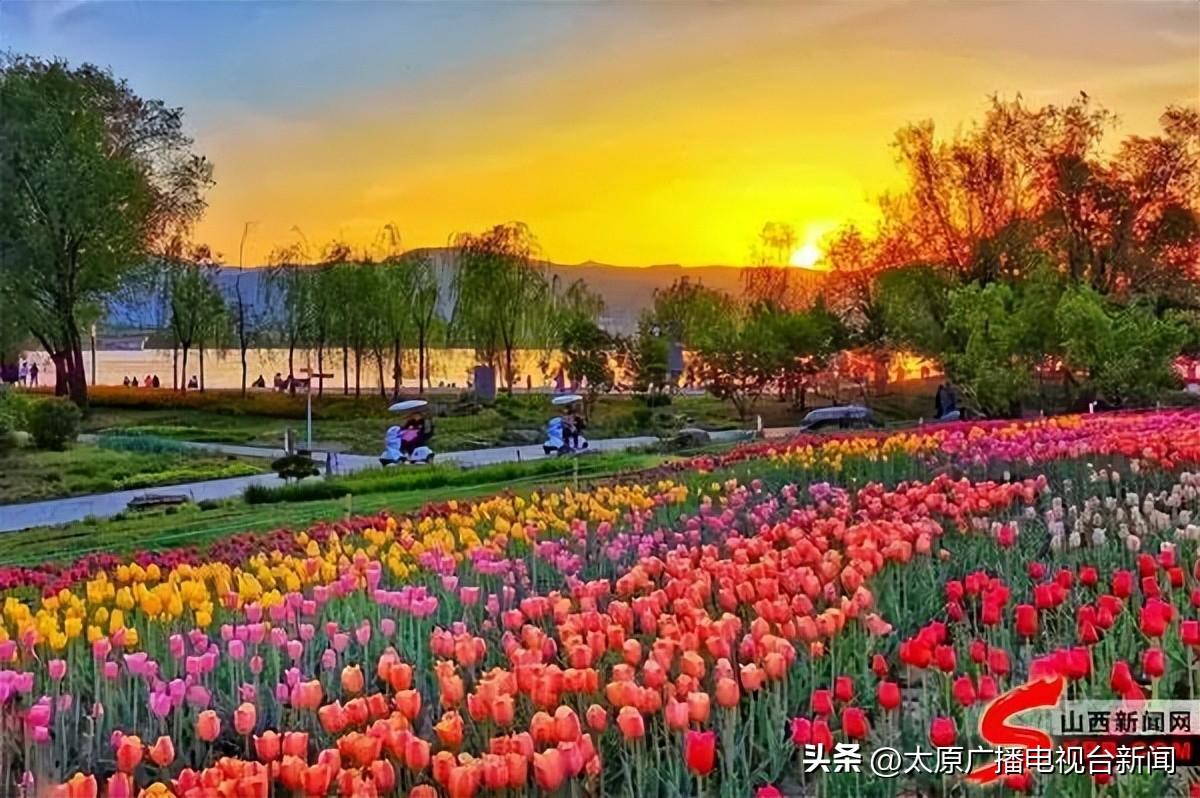 晋阳湖公园效果图图片