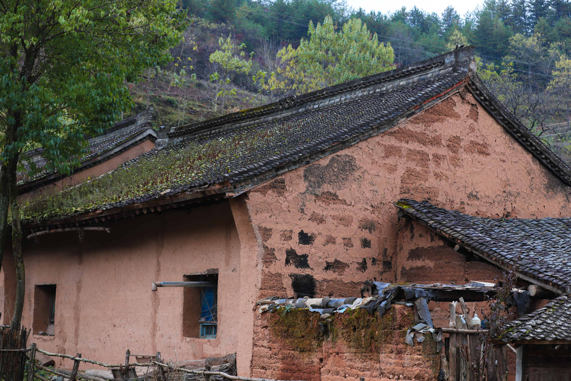 陕西秦岭深处,淳朴静谧的老村落,美如仙境,特别适合养老