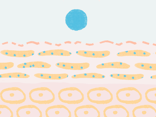 揭秘护肤谎言!关于皮肤的10个真相,你需要了解