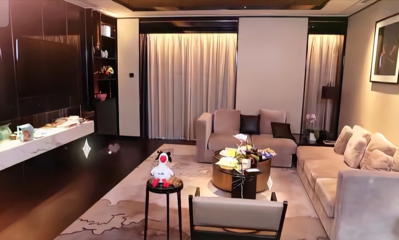 33岁宋轶的豪宅火了,全屋精致奢华,一尘不染,两个人居住刚刚好