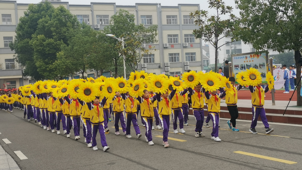 六安城北小学图片