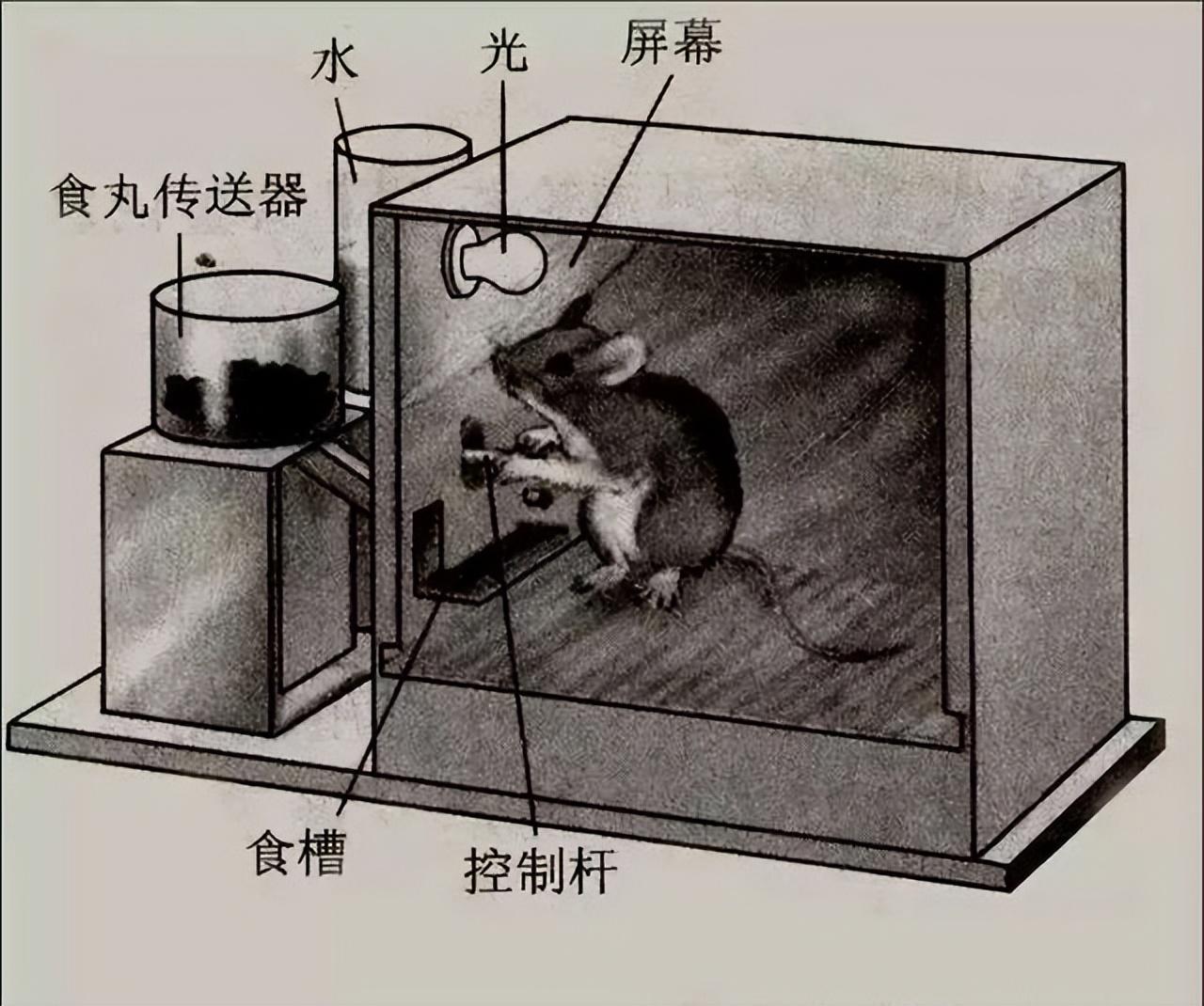 為什麼玩遊戲總是忍不住氪金?策劃用了這些心理學原理來騙你錢